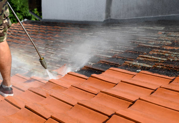Best Commercial Building Pressure Washing  in Pine Ridge, SD